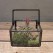 「ROOST」 SQUARE TERRARIUM S with PLANTS