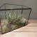 「ROOST」 GEO TERRARIUM A with PLANTS