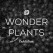 WONDER PLANTS EXHIBITION 2016